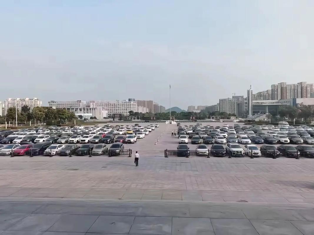 專業(yè)化政府翻譯服務(wù)的價(jià)值與流程解析